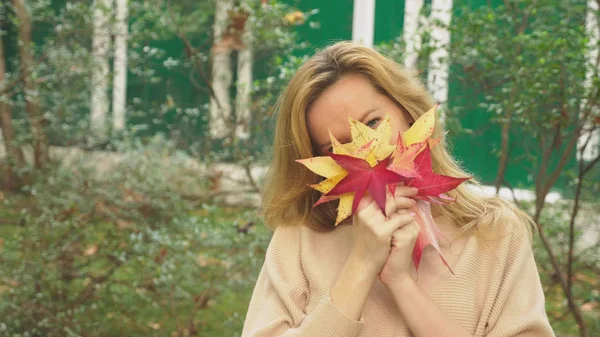 Młoda blond kobieta spacery po parku jesień, ona zbiera kolorowych liści klonu poległych — Zdjęcie stockowe