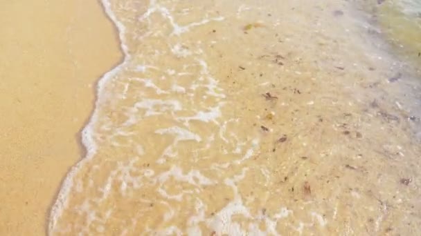 Transparente Meereswellen spülten gelben Sand. Herabgefallenes Laub im Meerwasser nach dem Sturm — Stockvideo