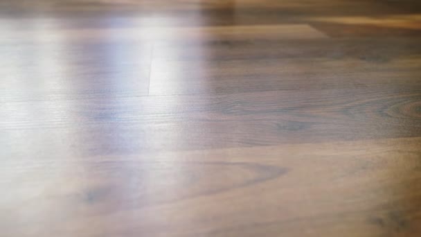 Bezešvá textura dřevěnou podlahu, povrch dřevěné podlahy je tmavě hnědá. — Stock video