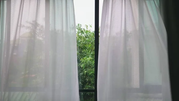 Transparent window curtain, gently moved by the wind. outside the window you can see the green leaves of the trees — Stock Photo, Image