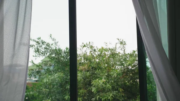 Przezroczyste okno zasłony, delikatnie przenoszone przez wiatr. za oknem widać, że zielone liście z drzew — Zdjęcie stockowe