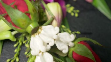 Siyah bir arka plan üzerinde direksiyon çiçek. Tay Kültür kavramı, yakın