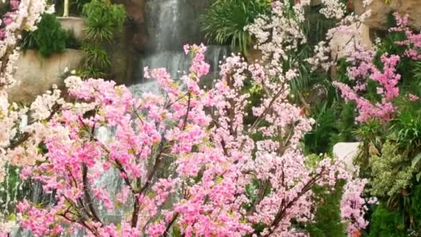 Prachtige kunstmatige waterval in een botanische tuin, omringd door roze bloemen — Stockvideo