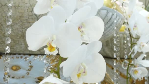 Gros plan, fleur d'orchidée blanche artificielle sur fond de perles de cristal — Video