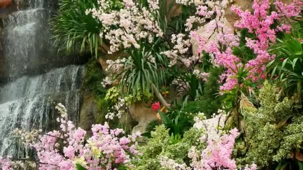 Prachtige kunstmatige waterval in een botanische tuin, omringd door roze bloemen — Stockvideo