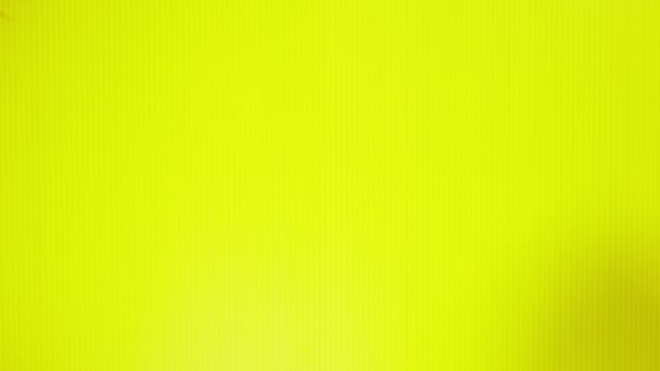 Rambutan fruits sur un fond jaune vif. Concept de fruit minimal . — Video