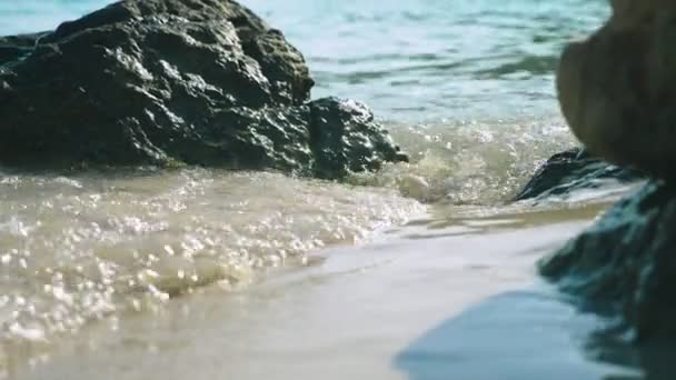 Primer plano de piedras en una playa de arena bañada por una ola de mar — Vídeo de stock