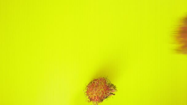 Frutti di Rambutan su uno sfondo giallo brillante. Concetto di frutta minimo . — Video Stock