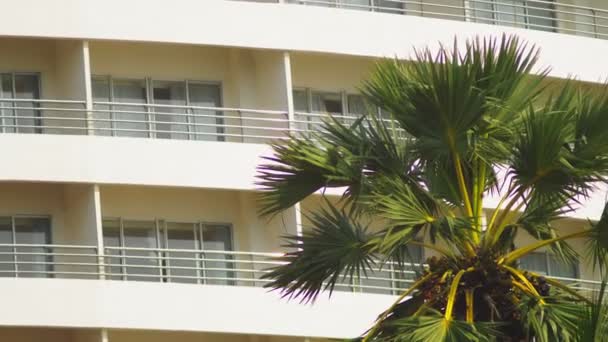 Feuilles de palmier tropical, motif floral sur fond de gratte-ciel. Concept de nature et de bâtiments modernes. — Video