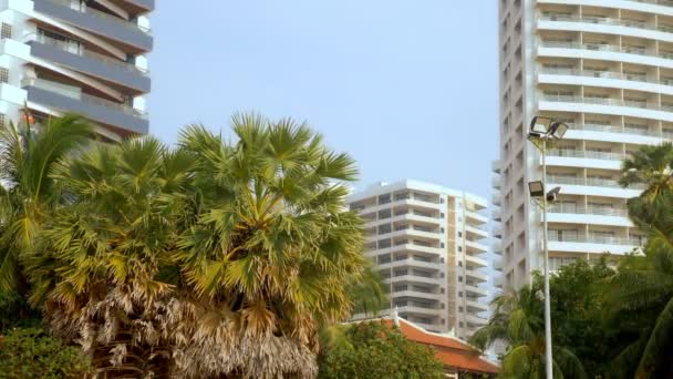Tropische palmbladeren, bloemenpatroon tegen wolkenkrabbers achtergrond. Het begrip natuur en moderne gebouwen. — Stockvideo