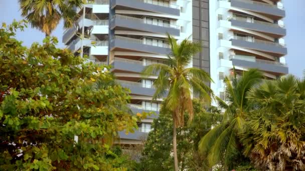 Tropical palm leaves, floral pattern against skyscrapers background. Concept of nature and modern buildings. — Stock Video