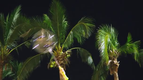 Glückliches Teenie-Mädchen, das vor dem Hintergrund von Palmen einen großen luftigen, glühenden Luftballon in den Händen hält. Abends. Konzept des Tourismus und Strandurlaubs. — Stockvideo