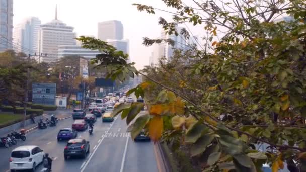 Bangkok, Tailandia. enero 7, 2019. tráfico de automóviles en una carretera concurrida, vista superior, en foco en el follaje de los árboles — Vídeos de Stock