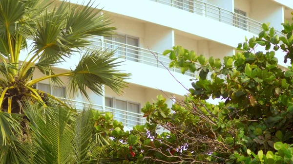 Tropikalne liście palmy, kwiatowy wzór na tle drapaczy chmur. Pojęcie przyrody i nowoczesnych budynków. — Zdjęcie stockowe