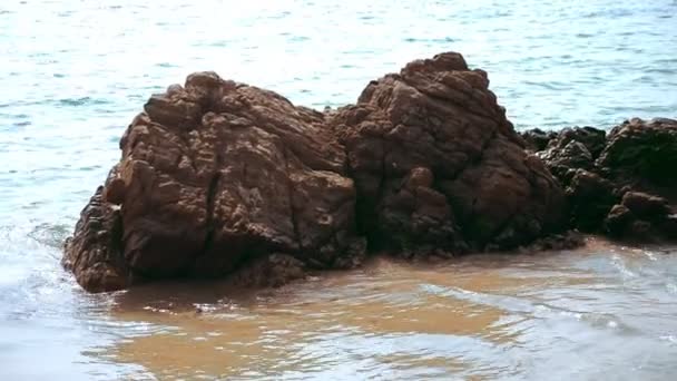 Piedra en la playa de arena bañada por olas marinas — Vídeo de stock