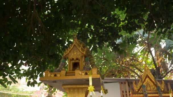 Buddhisme, gaya Thailand. rumah roh di latar belakang pohon palem — Stok Video