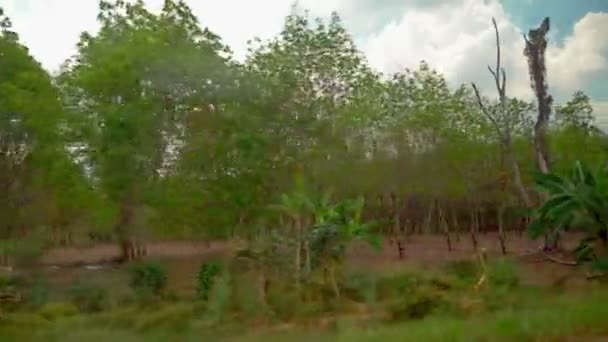 Vista desde la ventana del coche. conducir más allá de un bosque de árboles de goma, Tailandia — Vídeos de Stock