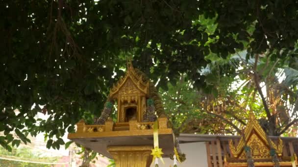 Boeddhisme, Thaise stijl. Huis van de geest op de achtergrond van palmbomen — Stockvideo