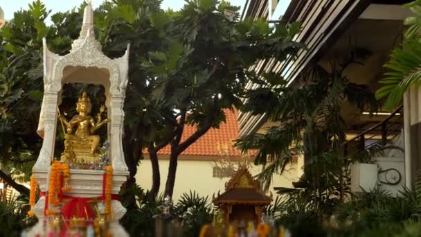 Buddhismus, Thai-Stil. schönes großes Haus des Geistes auf dem Hintergrund von Palmen — Stockvideo