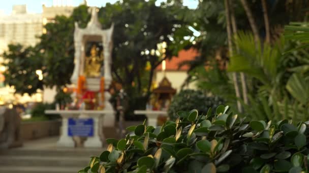 Boeddhisme, Thaise stijl. Mooi groot huis van geest op de achtergrond van palmbomen — Stockvideo