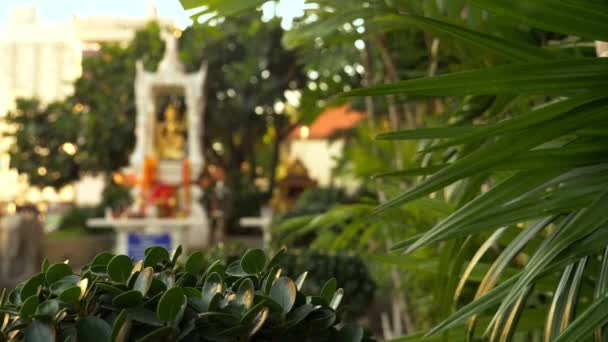 Buddhism, Thai style. Beautiful big House of spirit on the background of palm trees — Stock Video