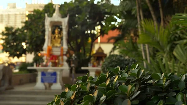 Budismo, estilo tailandês. Bela casa grande de espírito no fundo das palmeiras — Fotografia de Stock