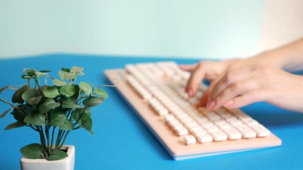 Primer plano. tarjeta de vídeo de saludo con estilo. manos femeninas están escribiendo en un teclado rosa, junto a una flor. sobre un fondo azul . — Vídeos de Stock