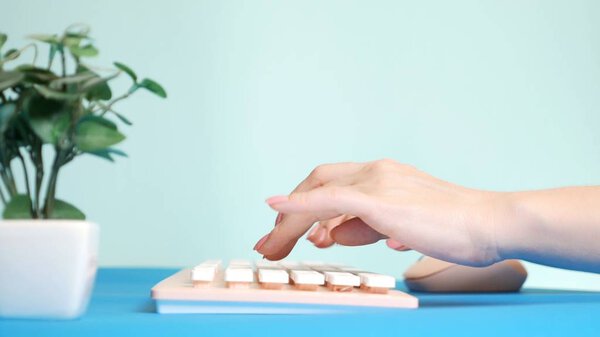 close-up. stylish greeting video card. female hands are typing on a pink keyboard, next to a flower. on a blue background.