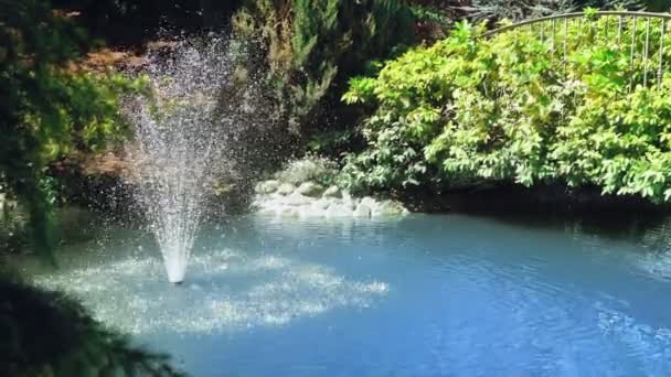 Närbild. Besprutning en fontän i en liten damm i en park med träd, grönt gräs — Stockvideo