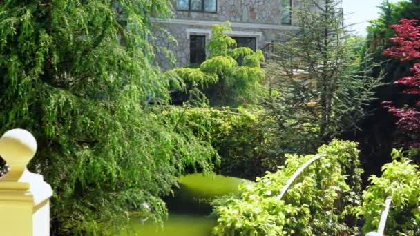 Σχεδιασμό τοπίου. Καταπράσινο κήπο με δέντρα και πολύχρωμα φυτά την καλοκαιρινή ηλιόλουστη μέρα — Αρχείο Βίντεο