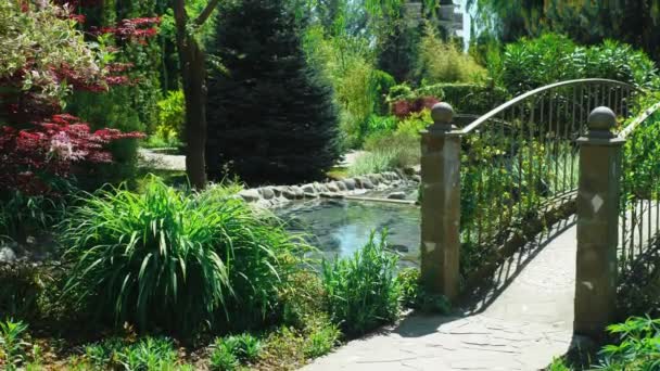 Concepto de diseño de paisaje. Jardín exuberante con árboles y plantas coloridas en verano día soleado — Vídeos de Stock