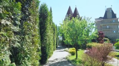 birinci şahıs görünümü. Güneşli bir yaz gününde güzel bir parkta bir yol boyunca ağaçlar boyunca yürüyün