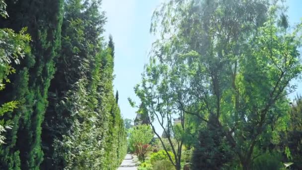 Birinci şahıs görünümü. Güneşli bir yaz gününde güzel bir parkta bir yol boyunca ağaçlar boyunca yürüyün — Stok video
