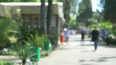 Deodaklanmış arka plan. insanlar yürüyüş ile güneşli yaz parkı