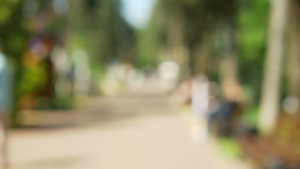 Fondo desenfocado. soleado parque de verano con gente caminando — Vídeos de Stock