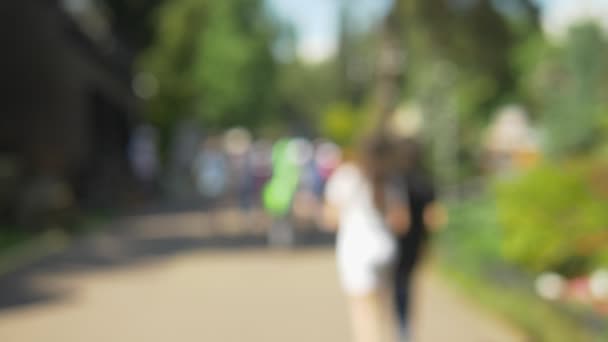 Zaostale pozadí. slunný letní Park s lidmi pěšky — Stock video