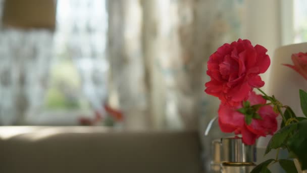 Nahaufnahme. Niedlicher Strauß roter Rosen und Freesien in einer Vase auf einem Tisch an einem sonnigen Sommertag in einem Café — Stockvideo