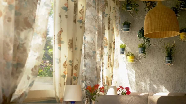 Koncept vnitřních oken. velká okna s plnou délkou ozdobená květinovými tiskači a nástěnnou zdí ozdobená domácími rostlinami — Stock fotografie
