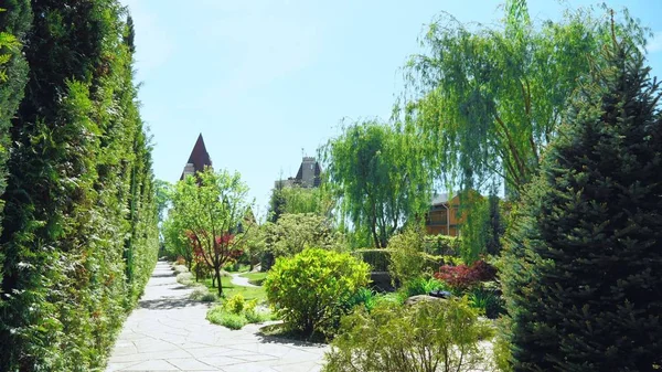 Vista en primera persona. Caminar a lo largo de los árboles a lo largo de un camino en un hermoso parque en un día soleado de verano — Foto de Stock