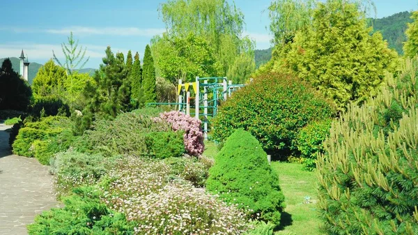 Vista en primera persona. Caminar a lo largo de los árboles a lo largo de un camino en un hermoso parque en un día soleado de verano — Foto de Stock