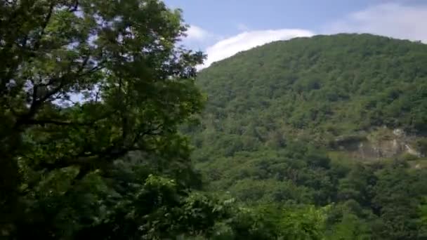 Utsikt från fönstret på en förbipasserande bil, kör förbi en skog och en bergskedjan — Stockvideo