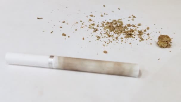 Close up of male hands. Man preparing hashish joint rolling marijuana cigarette for smoking. — Stock Video