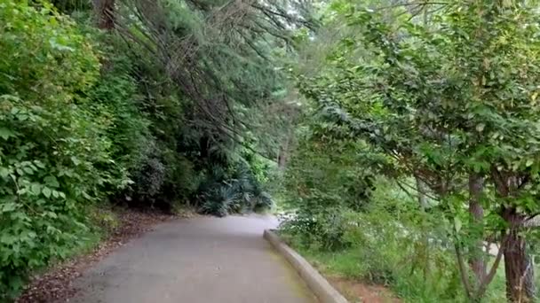 Aanzicht vanuit de eerste persoon, loop langs het steegje door de boog van boomtakken — Stockvideo