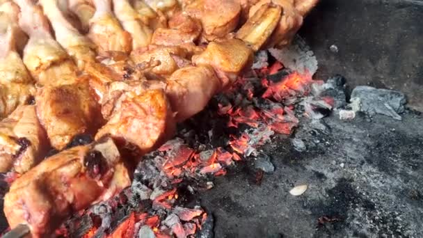 Kafkas mutfağından yemekler. açık mutfak restoranında şişler üzerinde farklı etler çeşitli barbekü yapma süreci — Stok video