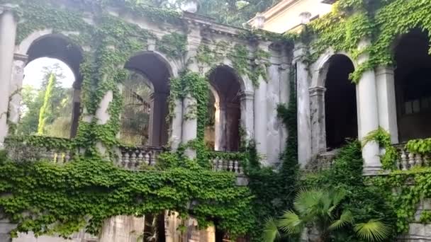 Burgbögen und Säulen mit grünem Efeu umgeben — Stockvideo