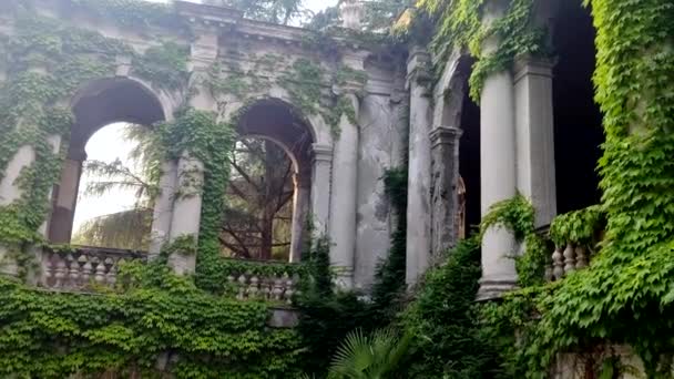 Castle arches and pillars entwined with green ivy — Stock Video