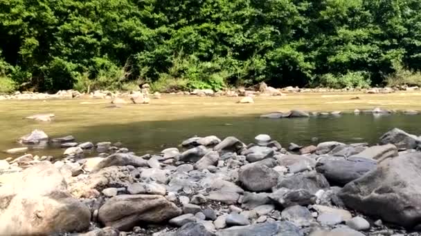 Streams of dirty water flow through stones in a mountain river — Stock Video