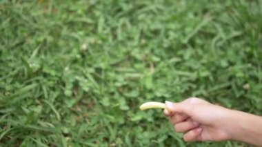 Close. Eller patates kızartması ile kız besleme Dove