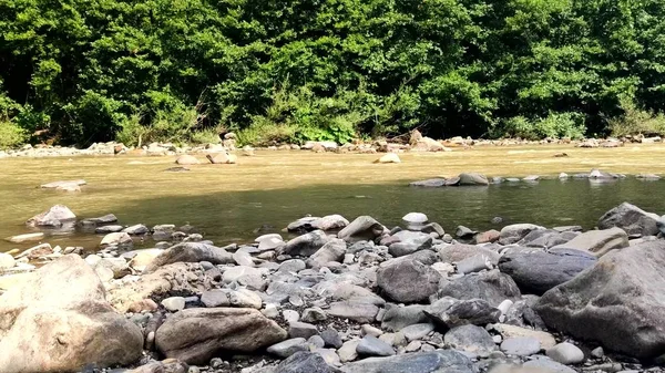 Córregos de água suja fluem através de pedras em um rio de montanha — Fotografia de Stock