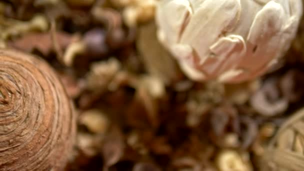 Abstract background, texture of dried flowers. potpourri . close-up. dried flowers and seeds used for aromatherapy. — Stock Video